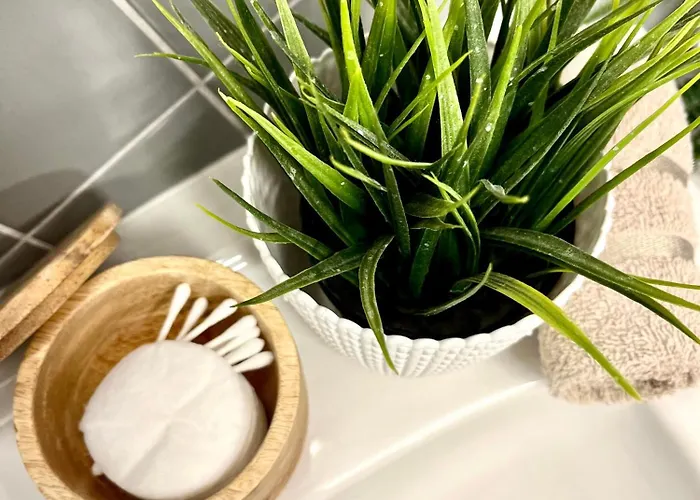 Bond Location Air Conditioned Bratislava